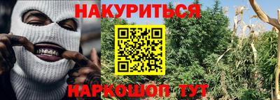сатива Новодвинск