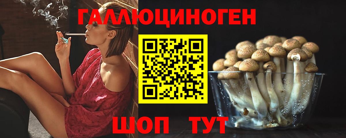 Галлюциногенные грибы Psilocybine cubensis  Галлюциногенные грибы Psilocybe  Сосновоборск  Вход с VPN 
